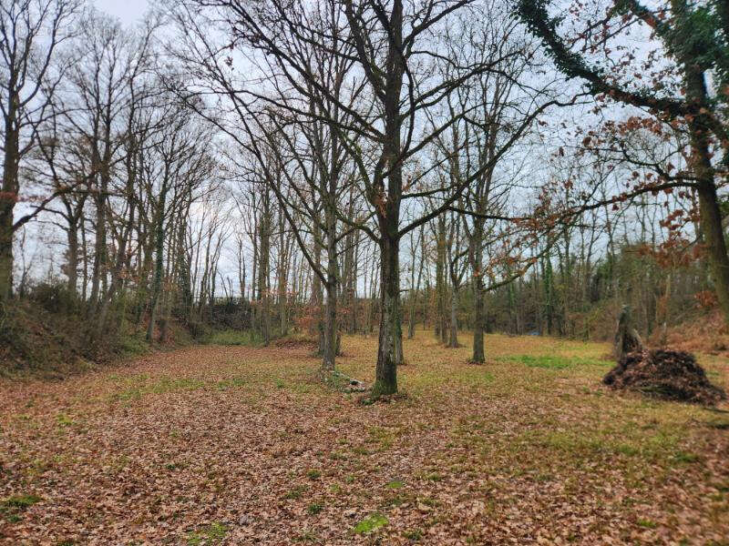 Maison à CHATEAUNEUF-EN-THYMERAIS