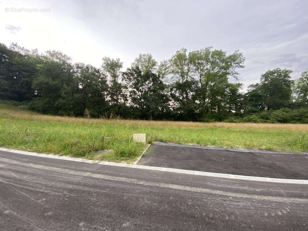 Terrain à CAUNEILLE