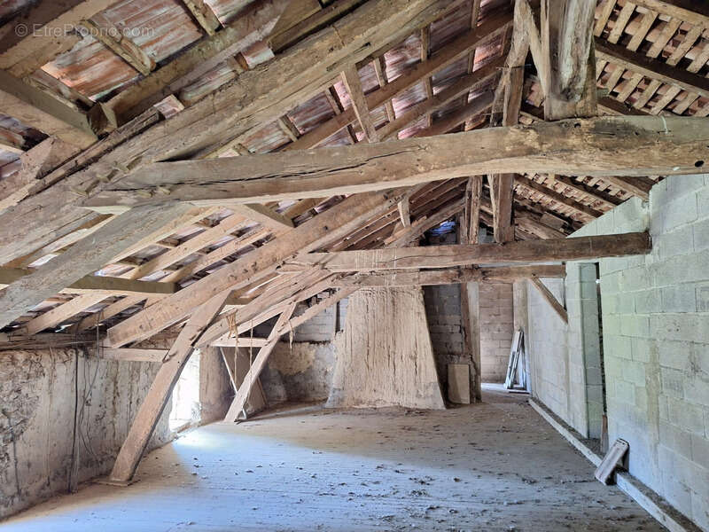 Corps de ferme à aménager avec dépendances et plus de 7 000 m² de terrain  Plaisance-du-Gers - photo 15