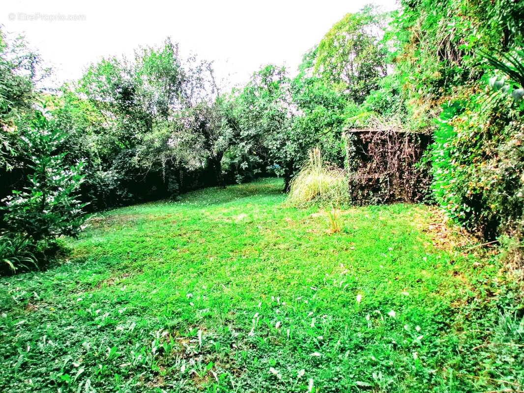 Appartement à MONTAURIOL