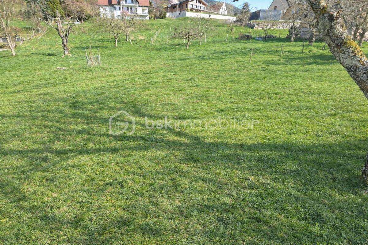 Terrain à BREITENBACH-HAUT-RHIN