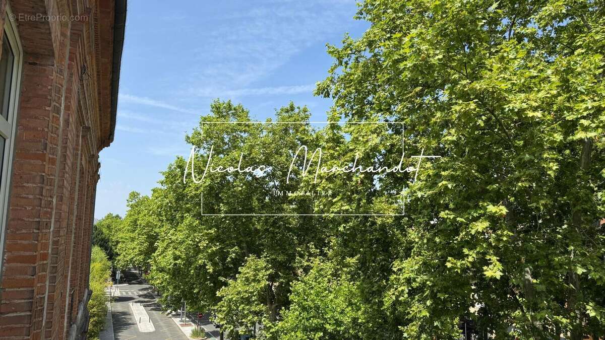 Photo 4 - Appartement à ALBI