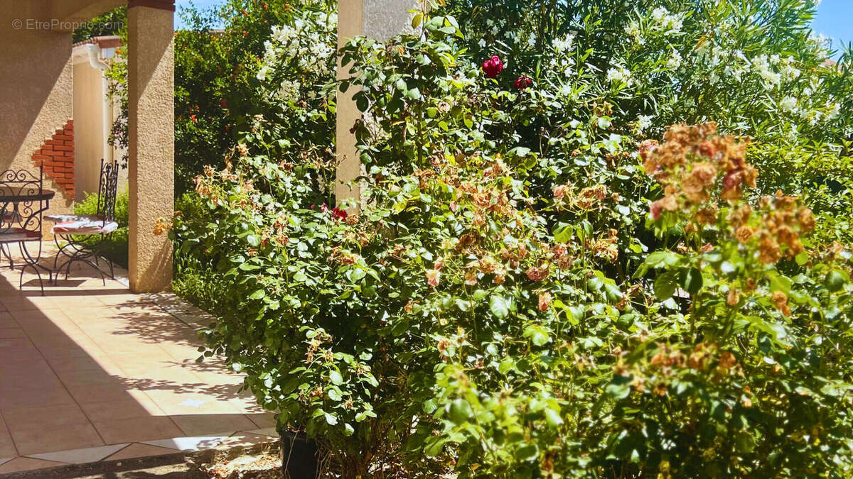 Maison à MONDONVILLE