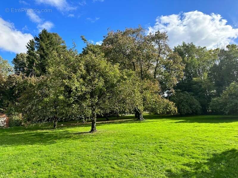 Maison à SAINT-OUEN-DE-THOUBERVILLE