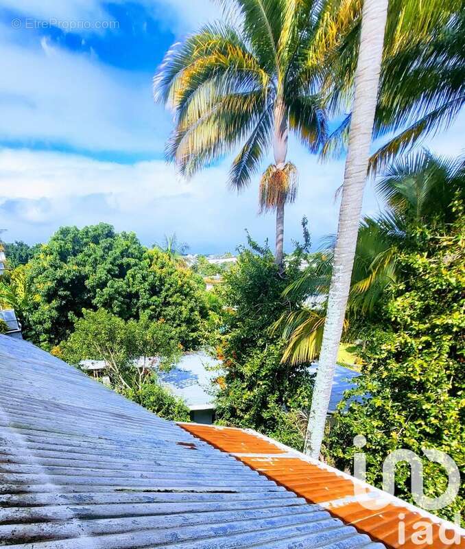 Photo 3 - Terrain à LE TAMPON