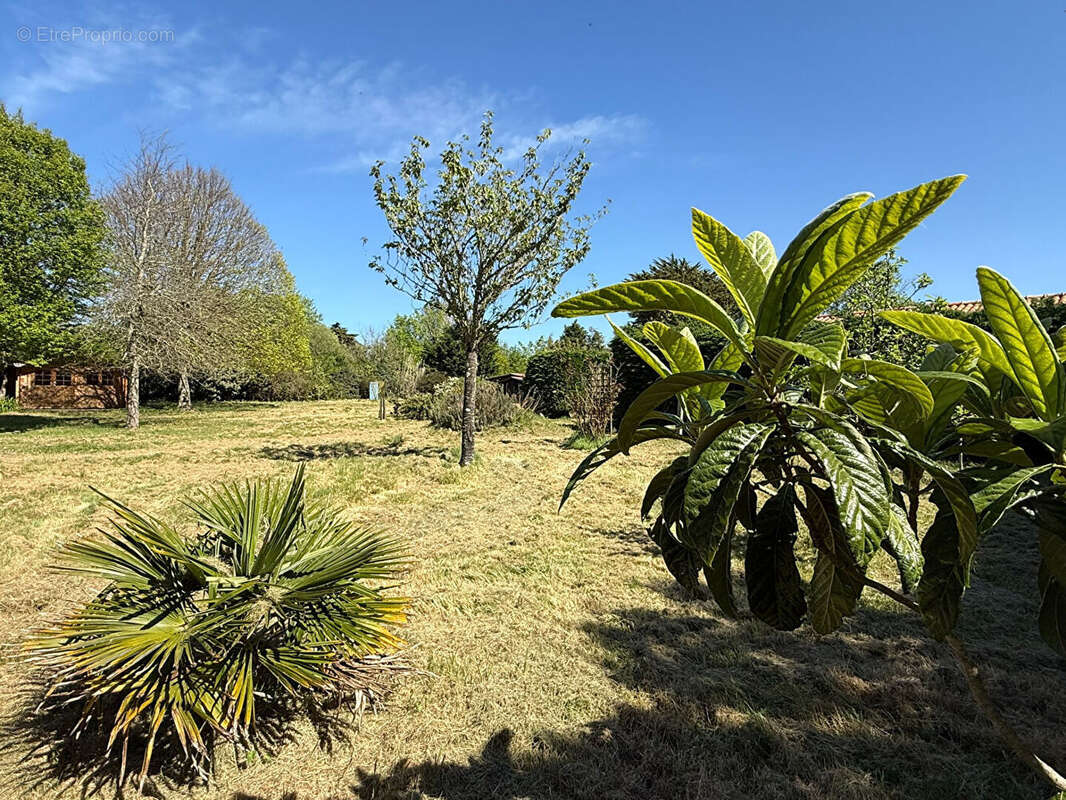 Maison à BOURGNEUF-EN-RETZ
