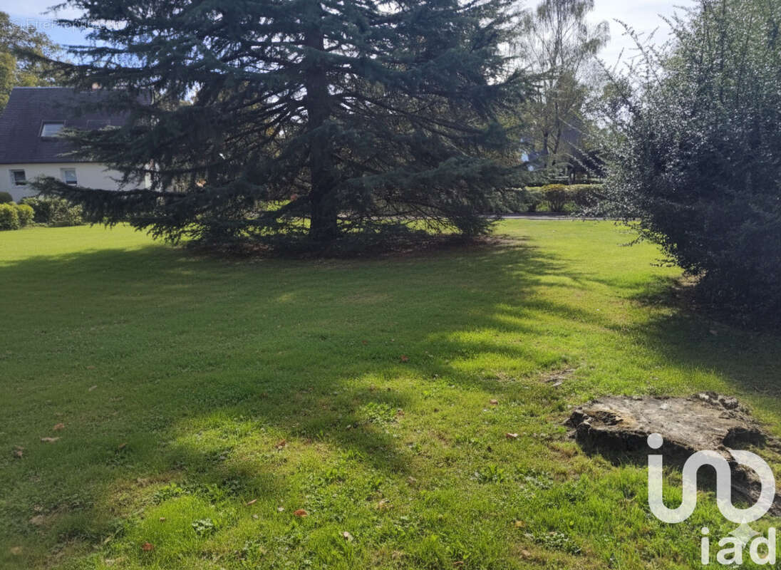 Photo 2 - Terrain à SAINT-VINCENT-SUR-OUST