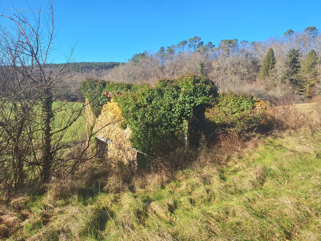 Terrain à MAZEYROLLES