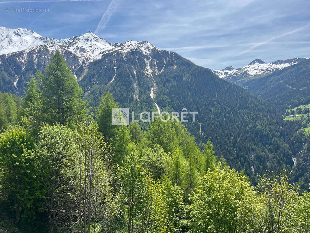 73210 Peisey-Nancroix Chalet T5 skis aux pieds avec vue exceptionnelle - photo 11