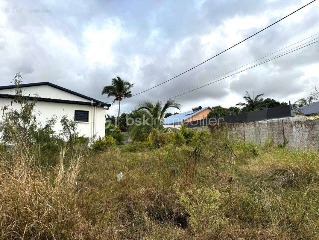 Terrain à SAINT-LOUIS