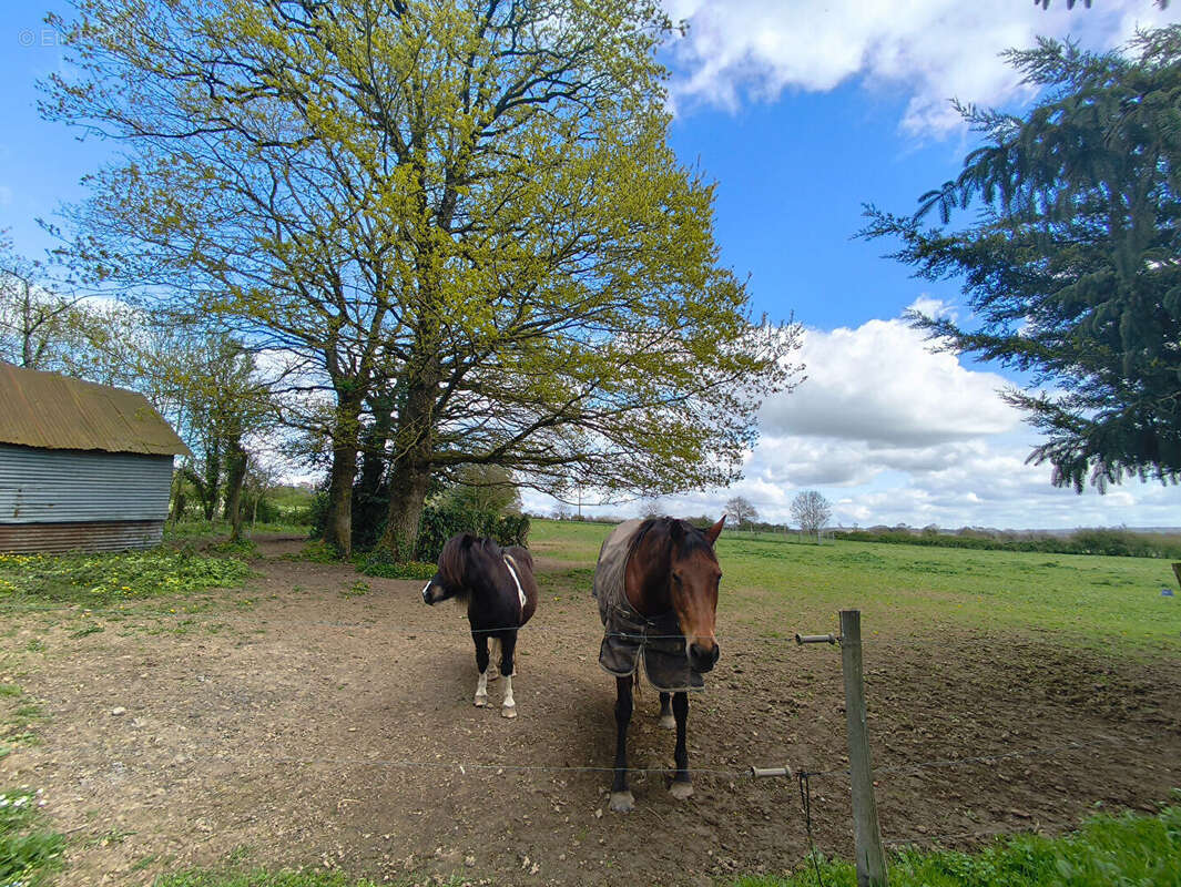 Maison à BAIN-DE-BRETAGNE