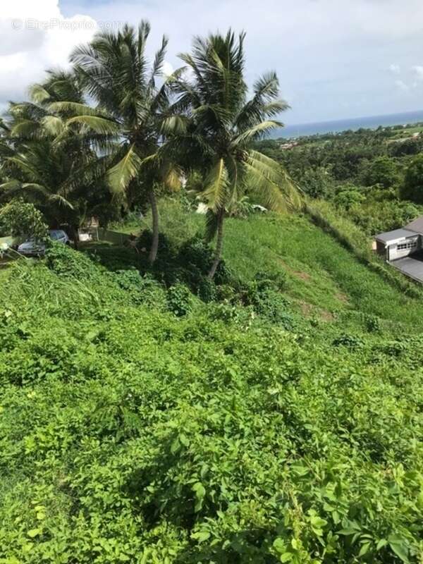 Terrain à CAPESTERRE-BELLE-EAU