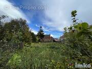 Terrain à BAMBECQUE