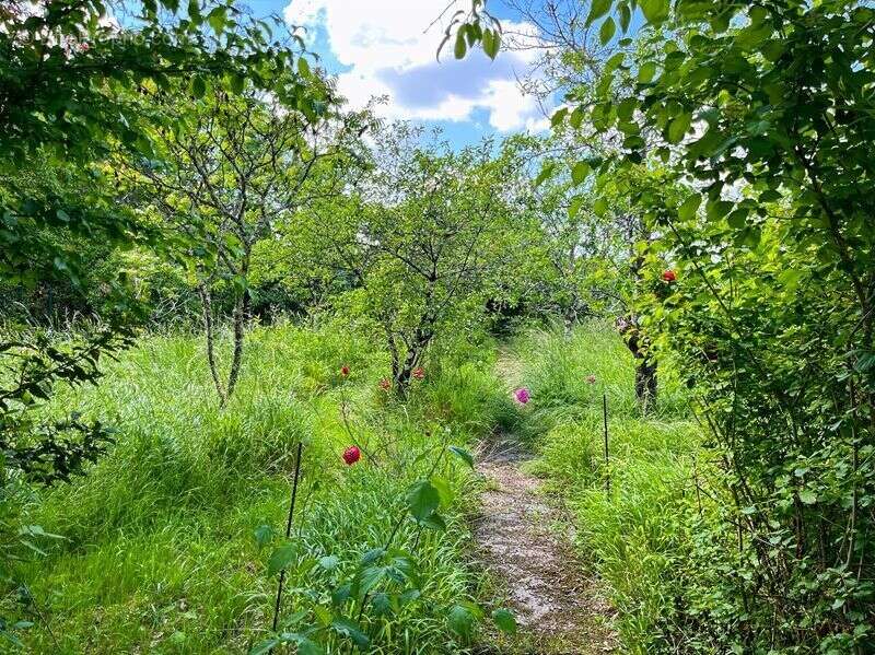 Maison à SAINT-CLAR