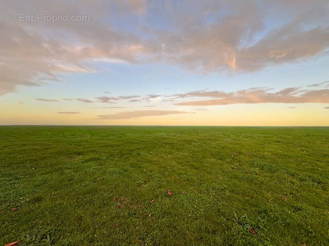 Terrain à TALMONT-SAINT-HILAIRE