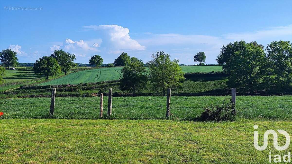 Photo 4 - Terrain à PALINGES