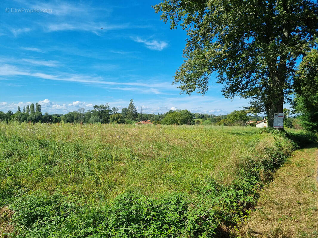 Terrain à CONFRANCON