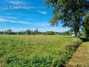 Terrain à CONFRANCON