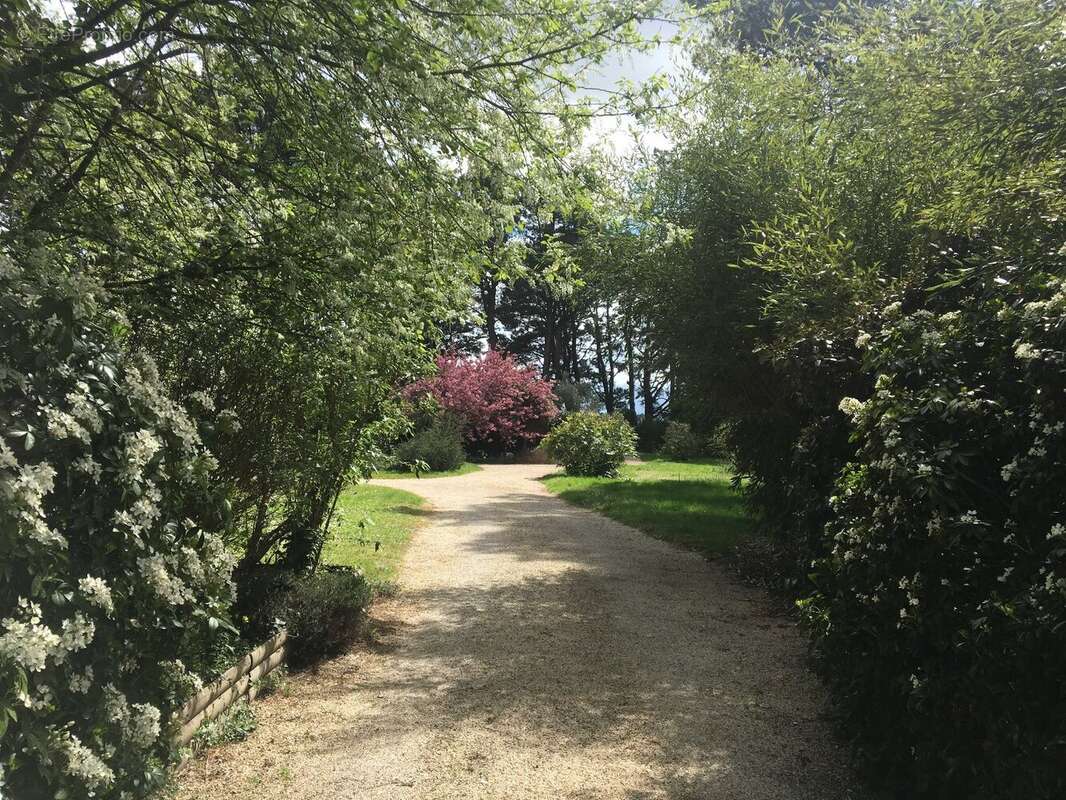 Unique sur Vallet, au coeur de son parc avec chenes centenaires, jolie maison de plain pied. - photo 8