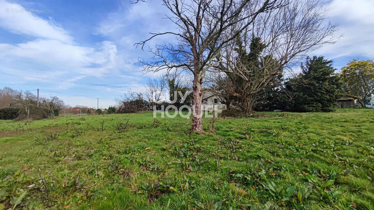 Maison à vendre avec grange + grand terrain - photo 10