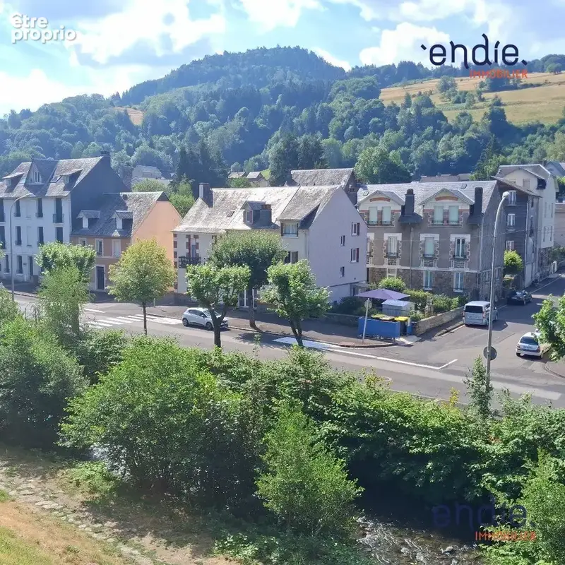 Maison 12 pièces 345 m² à vendre à La Bourboule (63150) - photo 2