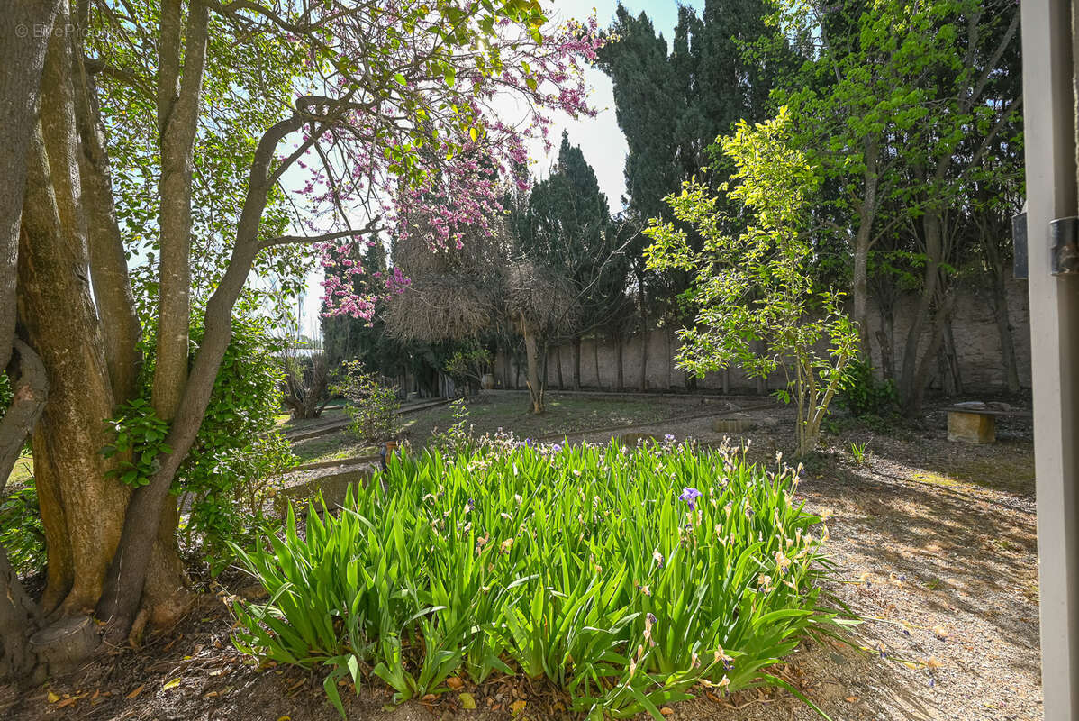 Maison à PEYRIAC-MINERVOIS