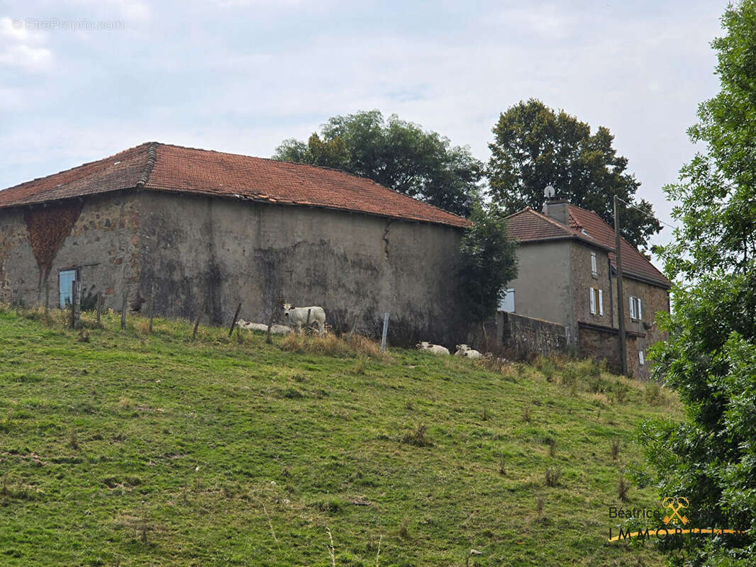 Maison à THIZY