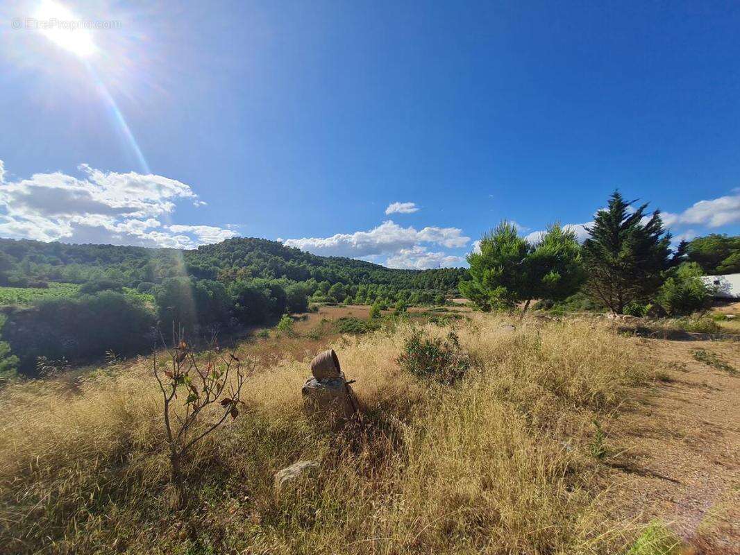 Maison à BIZE-MINERVOIS