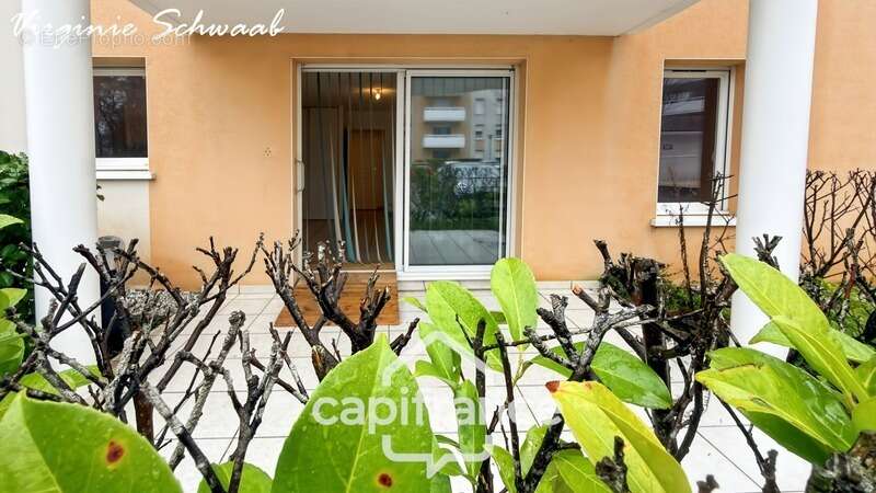 Appartement à SAINT-PIERRE-DU-MONT