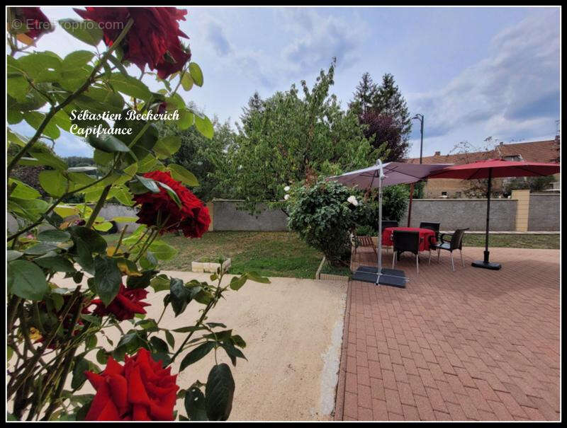 Maison à SARREINSMING