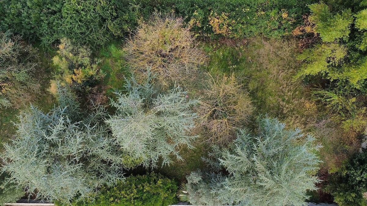 Terrain à MARSILLARGUES