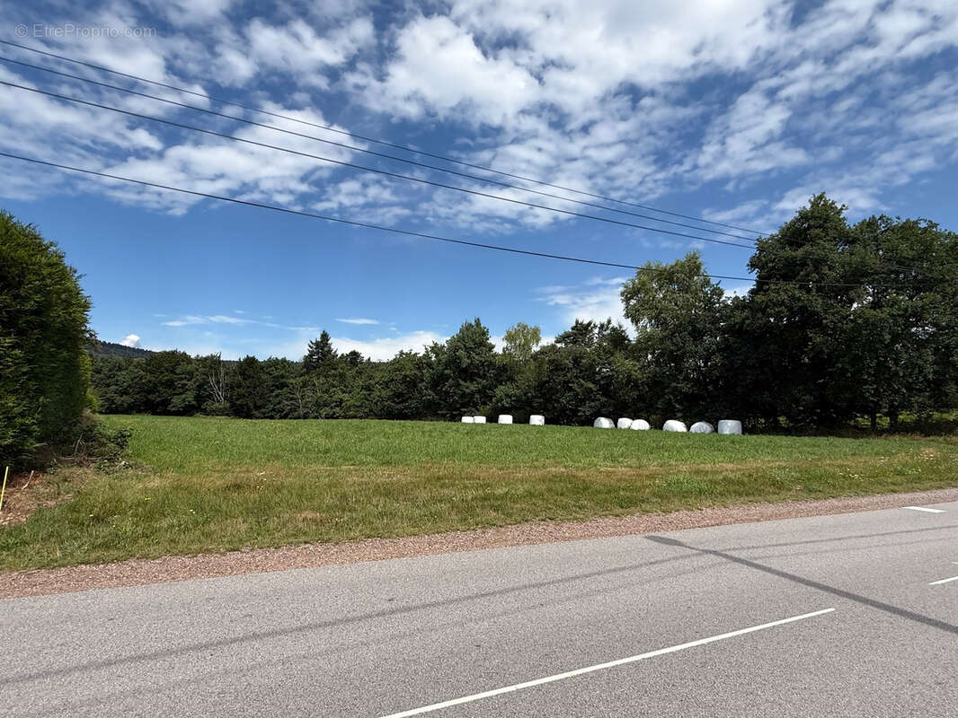 Terrain à SAINT-ETIENNE-LES-REMIREMONT