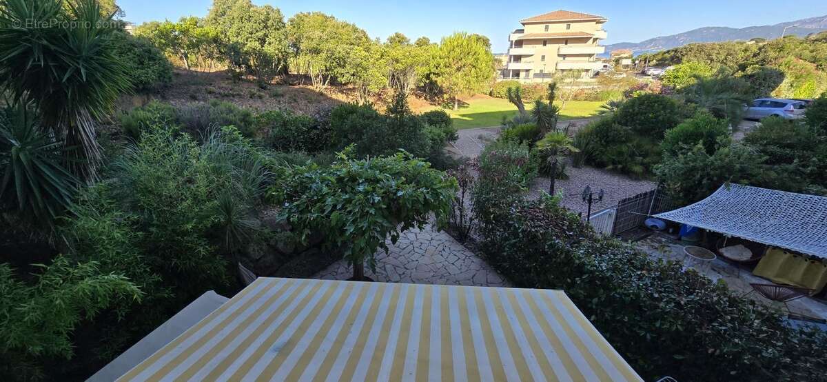 Appartement à PIETROSELLA