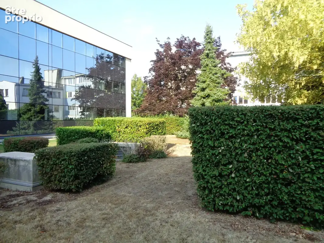Commerce 3160 m² à Epernay  - photo 16
