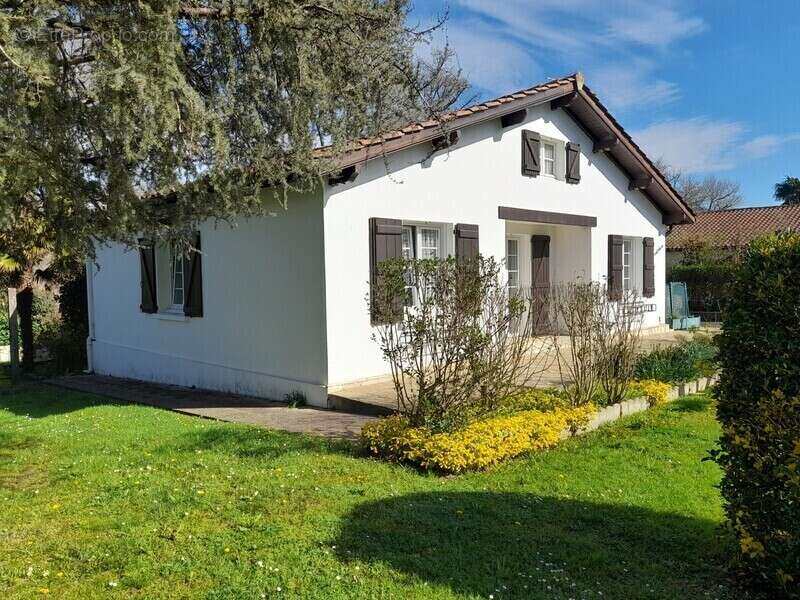 Maison à SARE