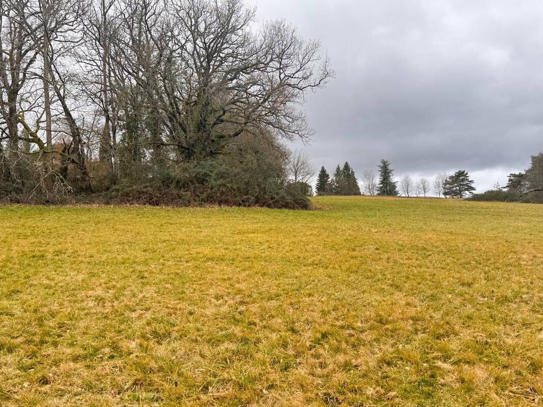 Terrain à TRELISSAC