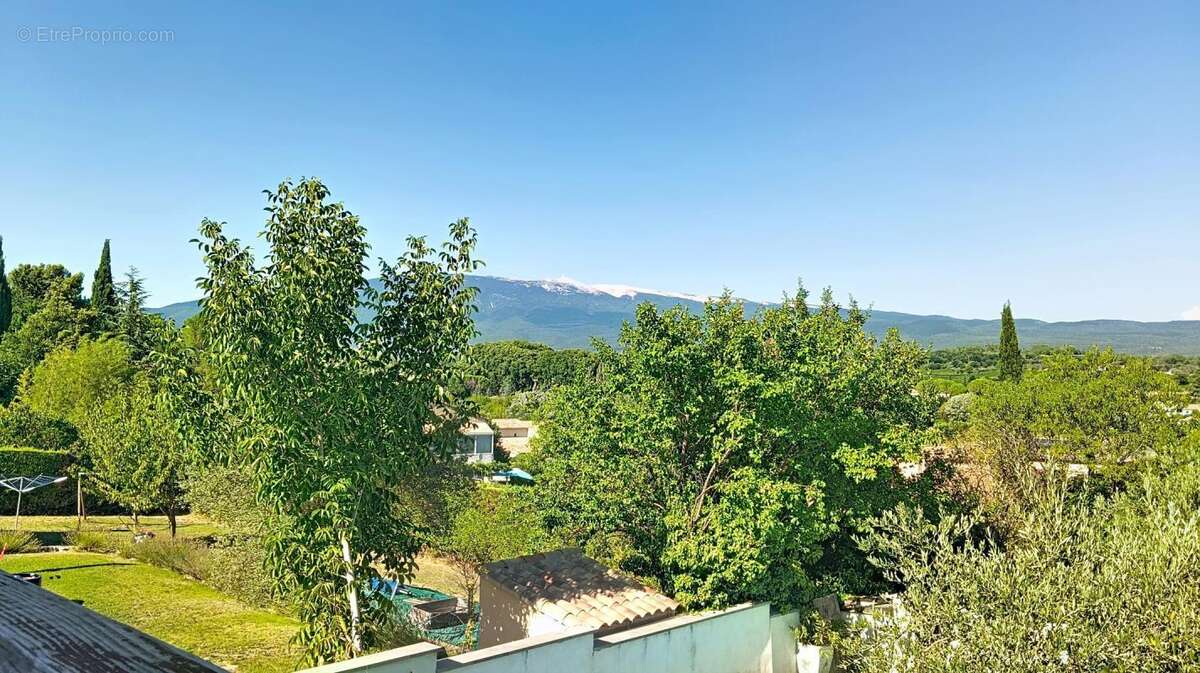 Mormoiron – Maison avec piscine - superbe vue Ventoux - photo 3