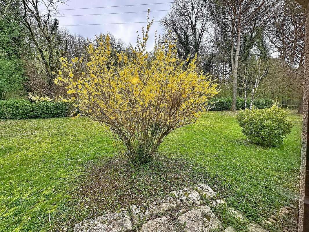 Photo 7 - Maison à CAHORS