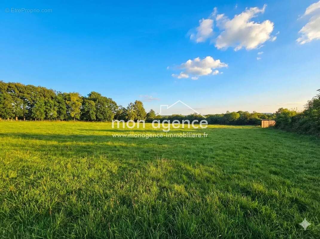 Maison à NEUFCHATEL-EN-BRAY