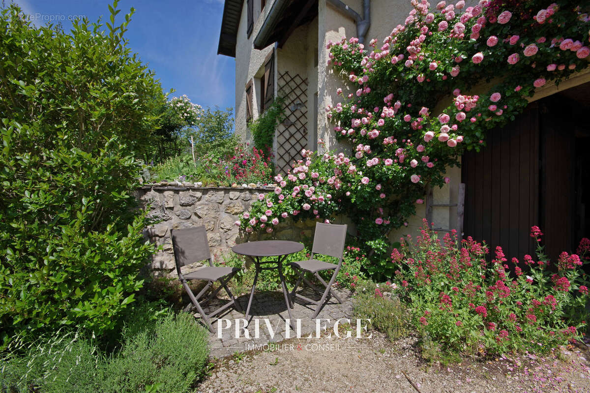 Maison à SAINT-FRANC