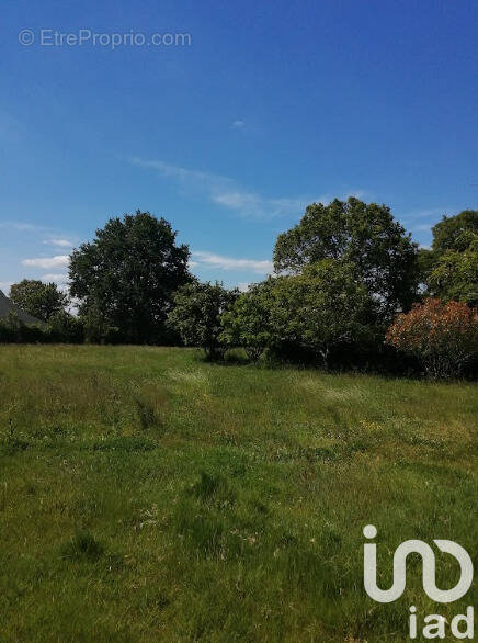 Photo 1 - Terrain à PLESSE