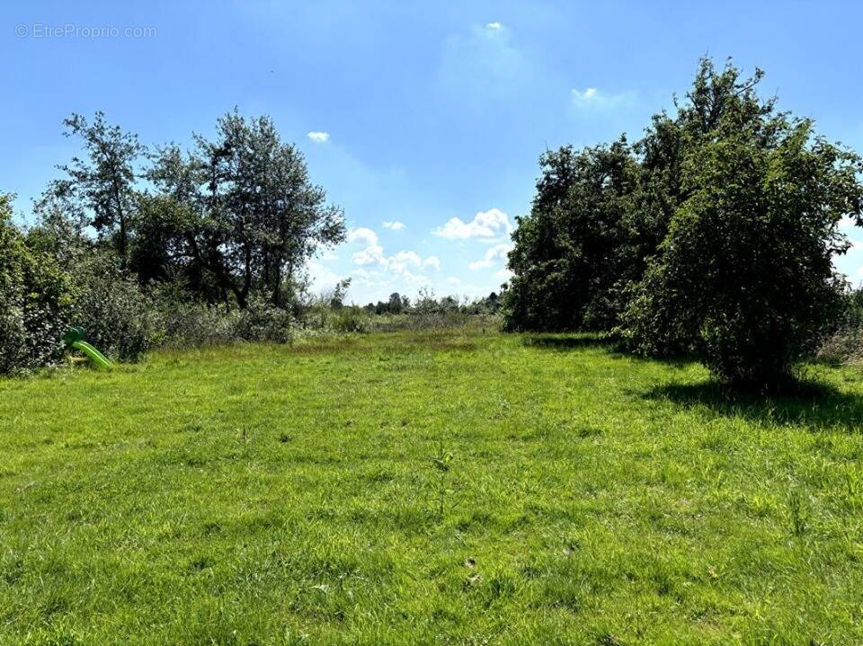 Terrain à AUBERCHICOURT