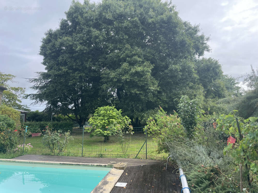 Maison à SAINT-PEY-DE-CASTETS