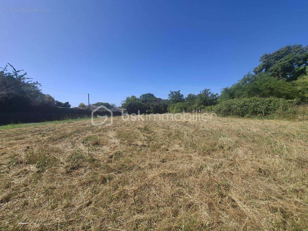 Terrain à bâtir de 1 229 m² à Doulezon (33350) - photo 4