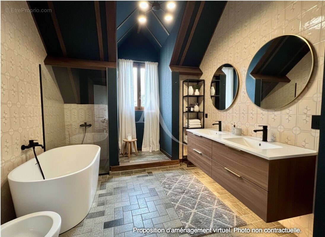 Maison 258 m² à Villeneuve-Saint-Denis  - photo 14