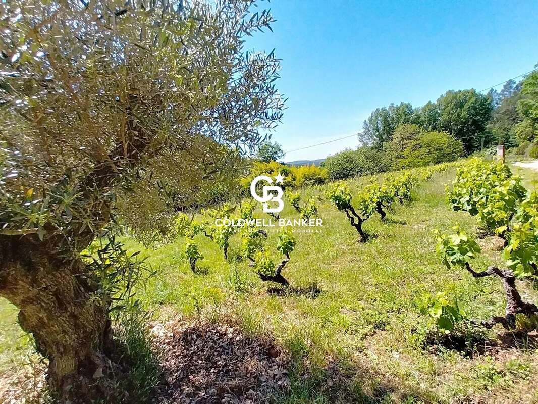 Maison à SAINT-ANTONIN-DU-VAR