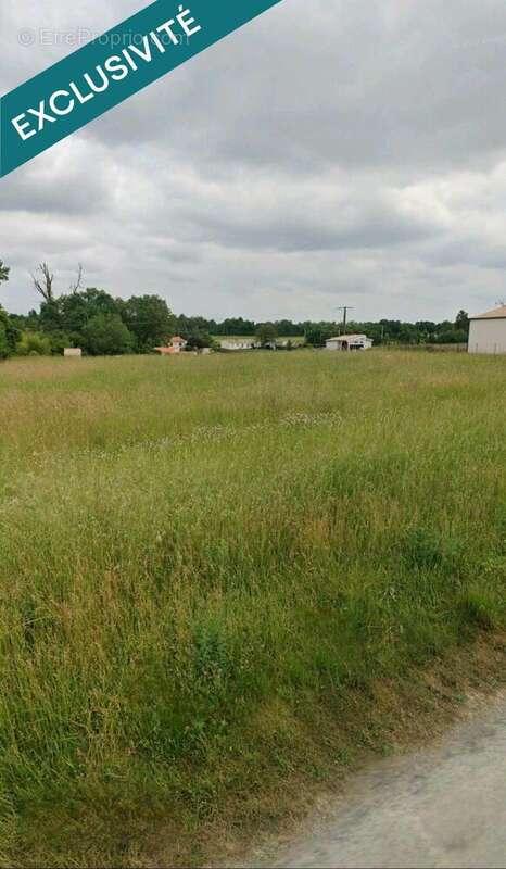 Photo 3 - Terrain à PISANY