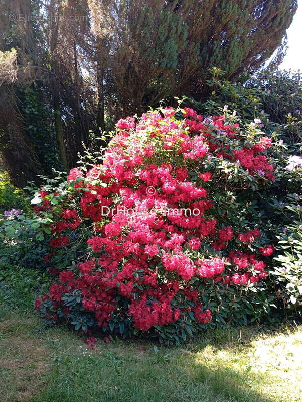 Maison à SAINT-LEGER-LA-MONTAGNE