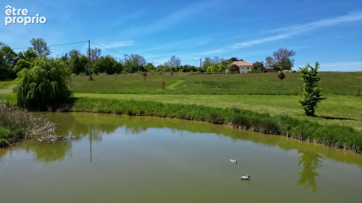 Magnifique propriété en pierre, restaurée, avec 4 hectares de terrain, à proximités de Condom et Lectoure - photo 5