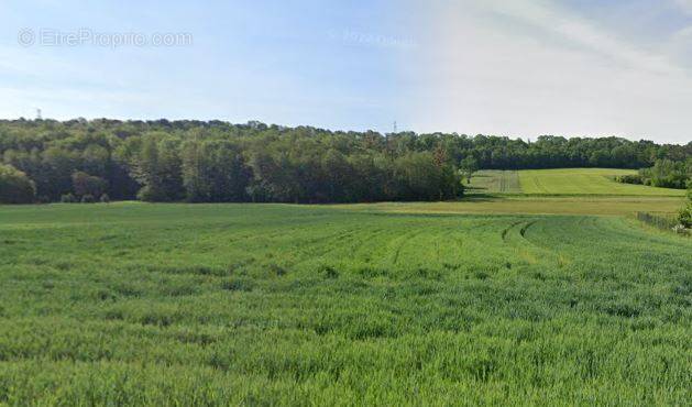 Terrain à FLAMMERANS